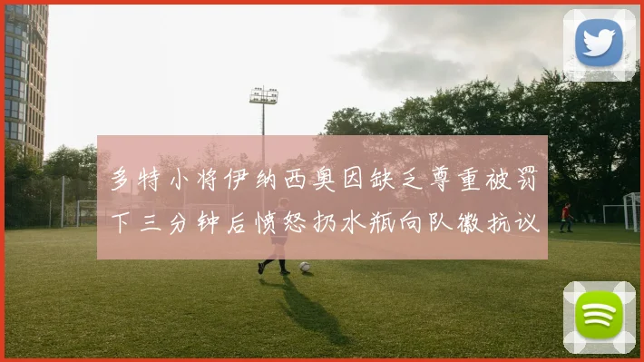 多特小将伊纳西奥因缺乏尊重被罚下三分钟后愤怒扔水瓶向队徽抗议