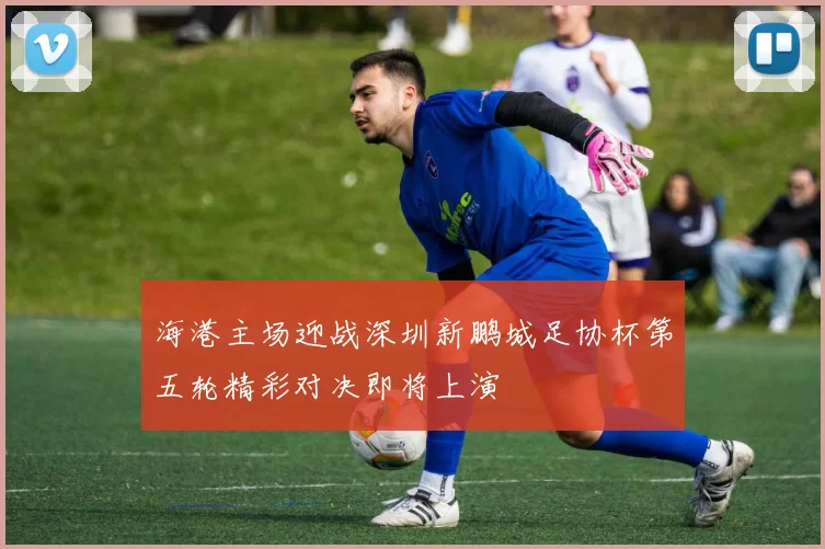 海港主场迎战深圳新鹏城足协杯第五轮精彩对决即将上演