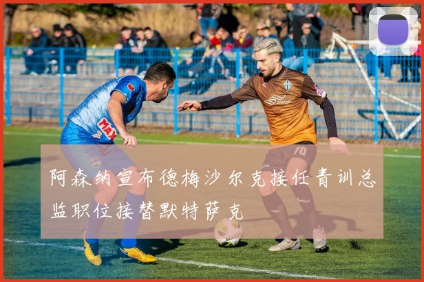 阿森纳宣布德梅沙尔克接任青训总监职位接替默特萨克